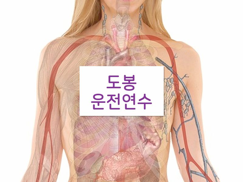도봉운전연수 후기