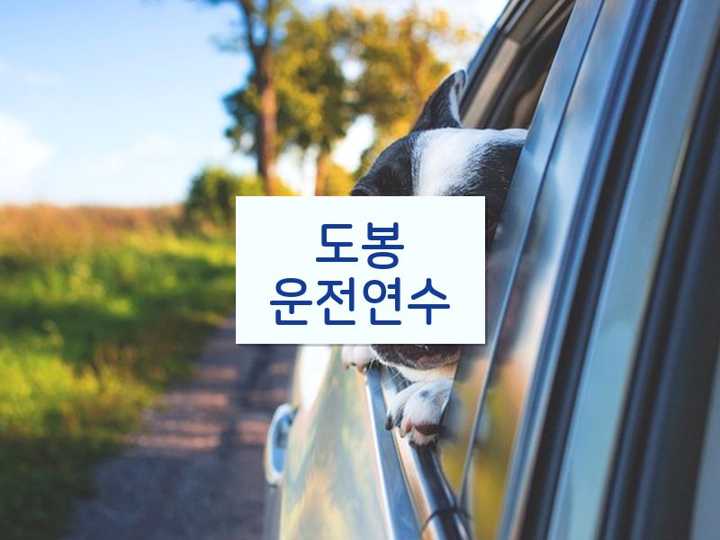 도봉운전연수 후기