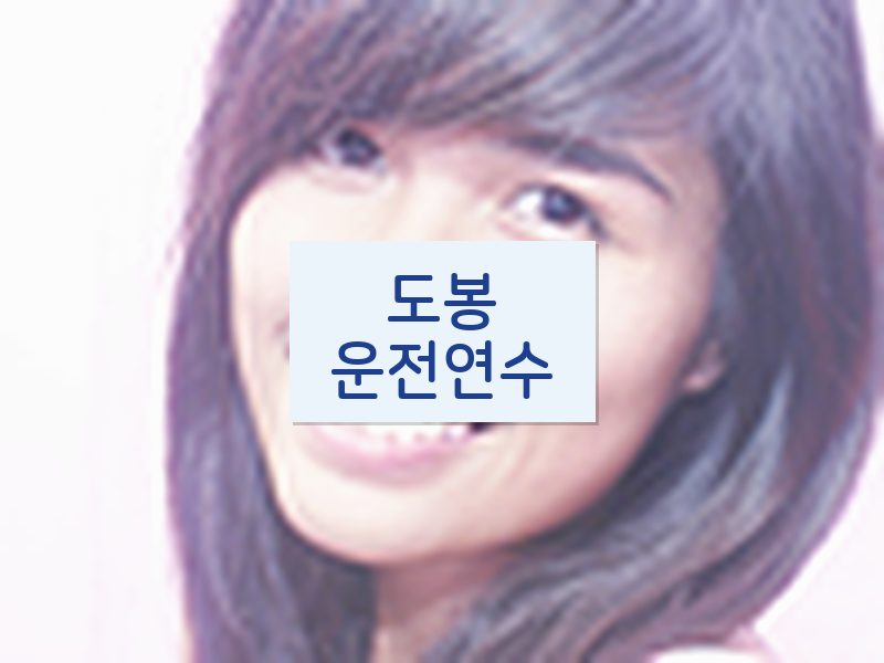도봉운전연수 후기