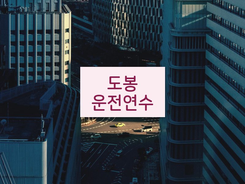 도봉운전연수 후기