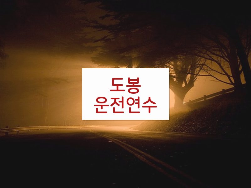 도봉운전연수 후기
