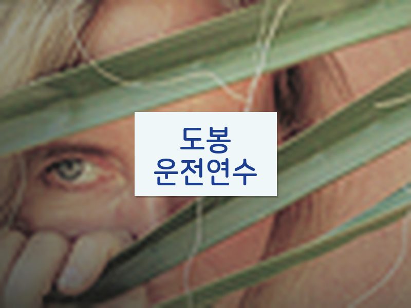 도봉운전연수 후기