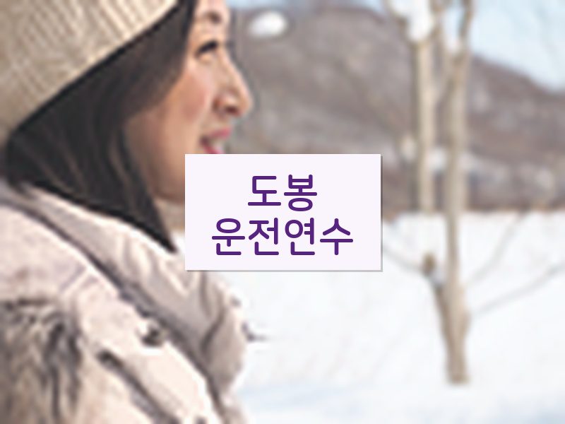 도봉운전연수 후기