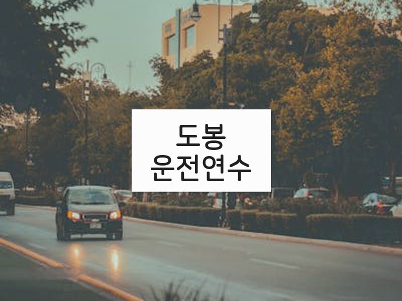 도봉운전연수 후기