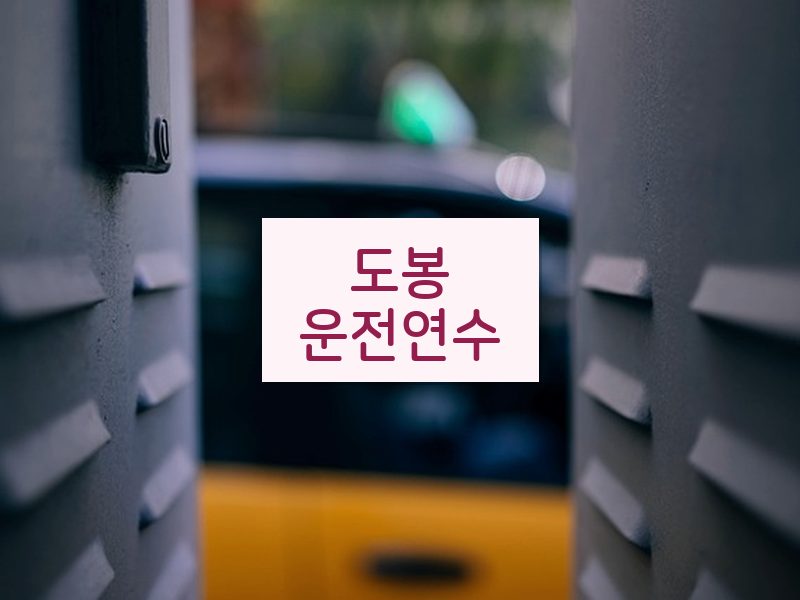 도봉운전연수 후기