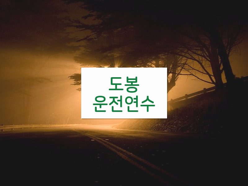 도봉운전연수 후기