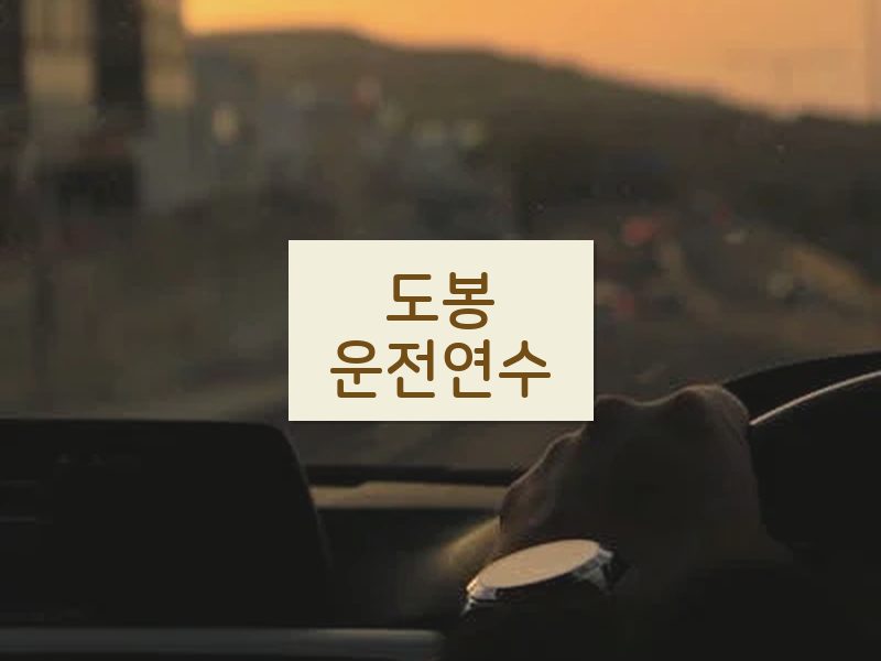 도봉운전연수 후기