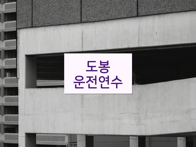 도봉운전연수 후기