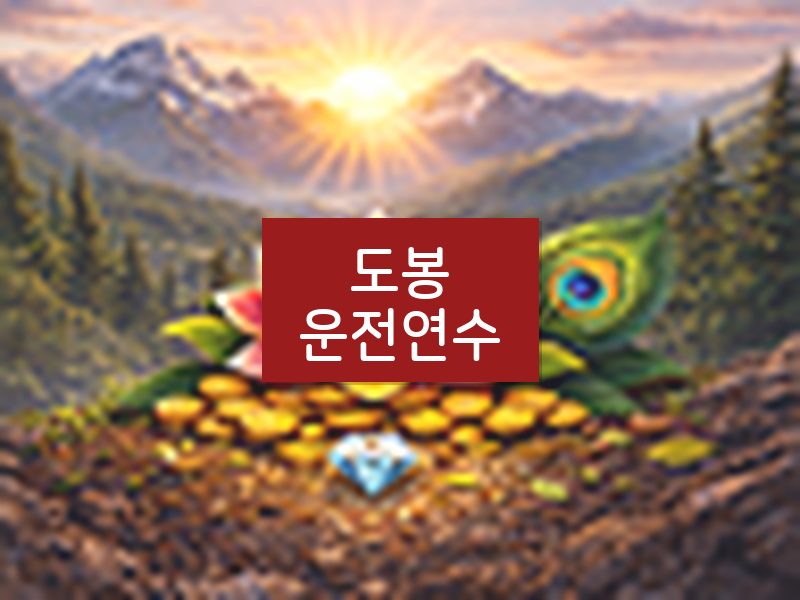 도봉운전연수 후기