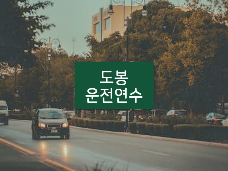 도봉운전연수 후기