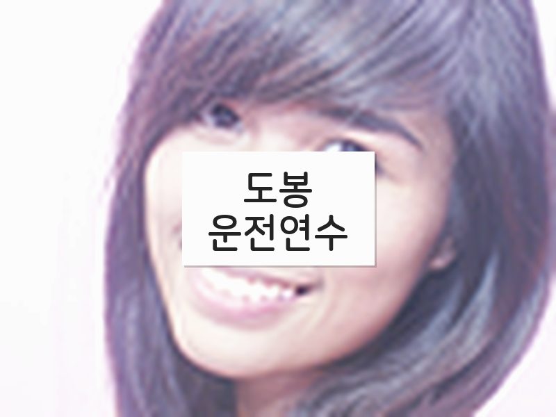 도봉운전연수 후기