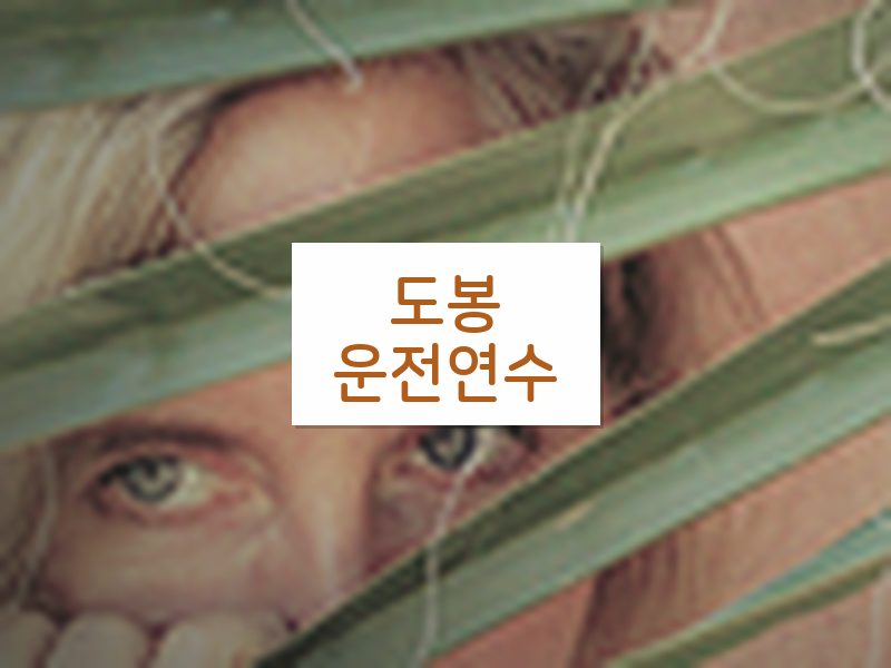 도봉운전연수 후기