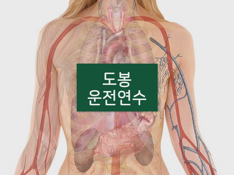 도봉운전연수 후기