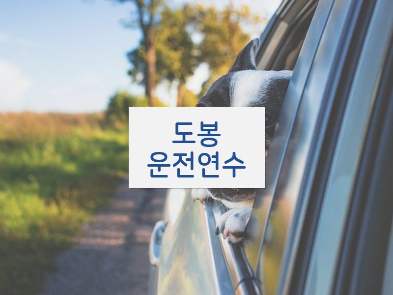 도봉운전연수 후기