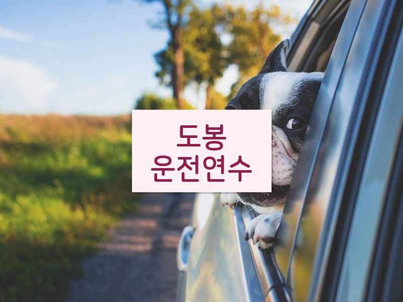도봉운전연수 후기