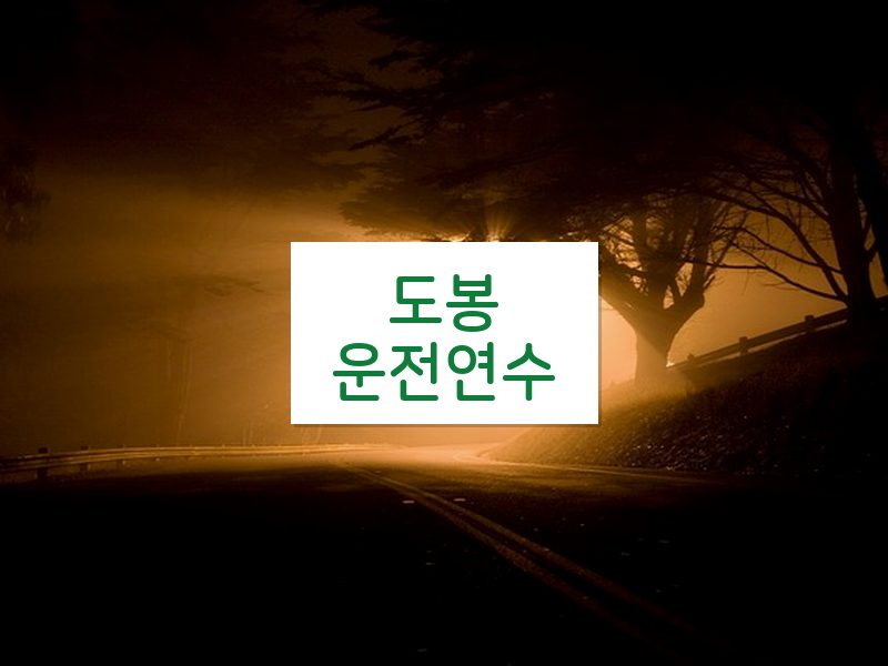 도봉운전연수 후기