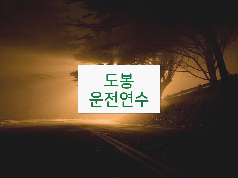 도봉운전연수 후기