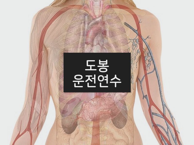 도봉운전연수 후기