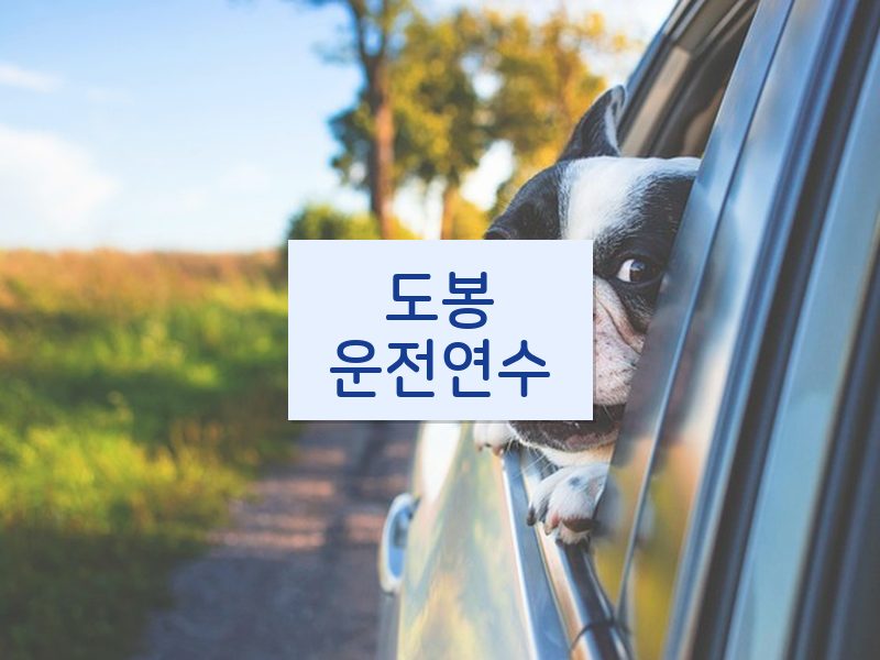 도봉운전연수 후기