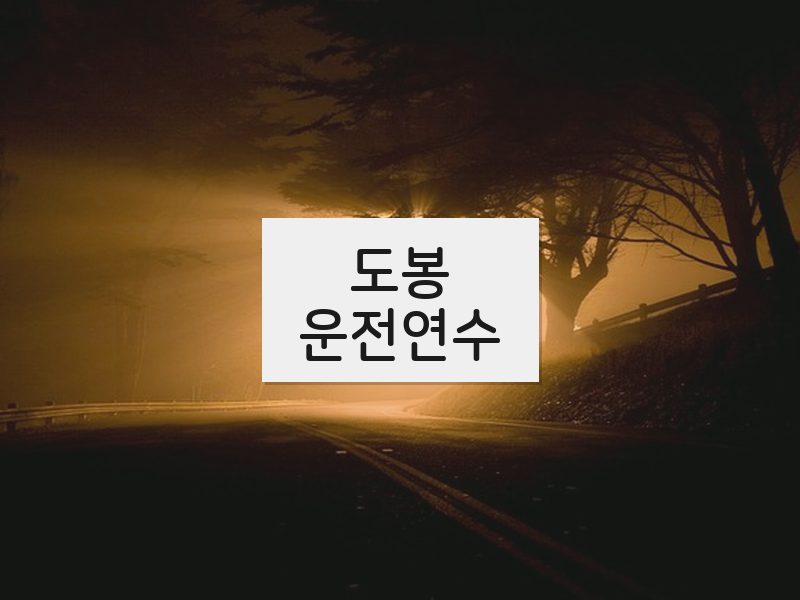 도봉운전연수 후기