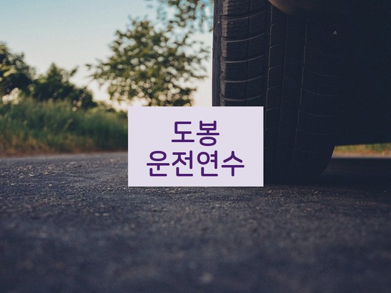 도봉운전연수 후기