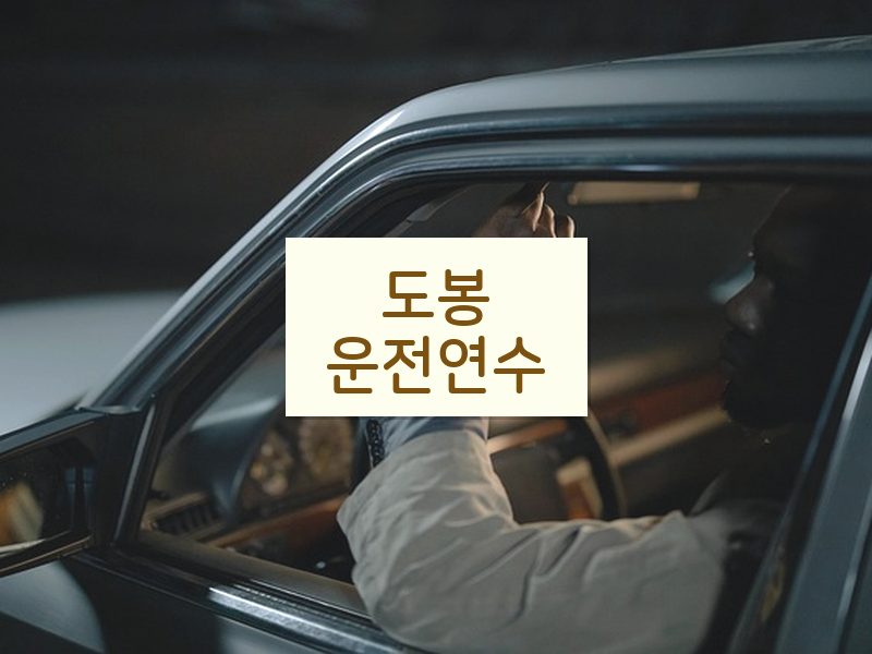 도봉운전연수 후기