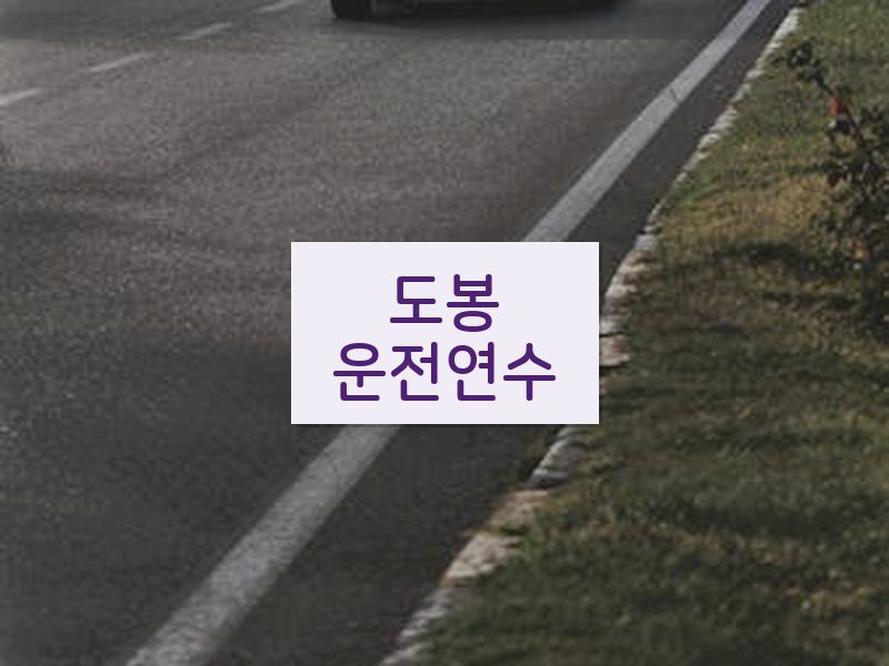 도봉운전연수 후기