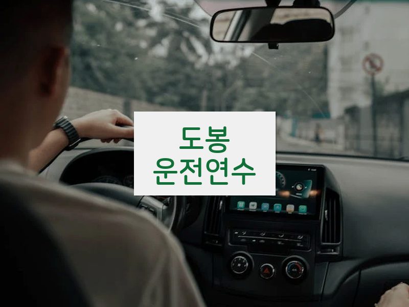 도봉운전연수 후기