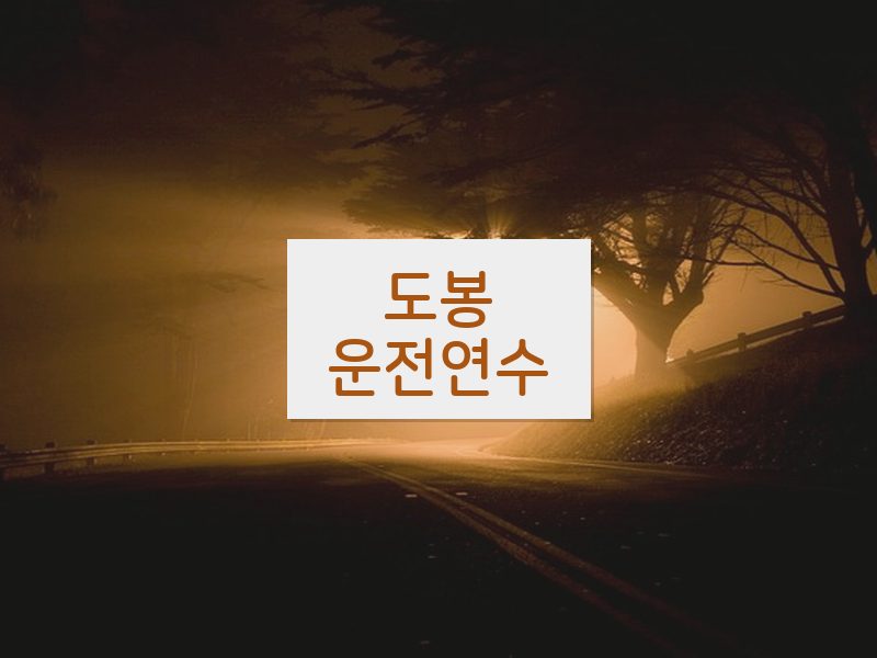 도봉운전연수 후기