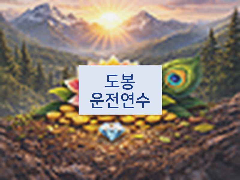 도봉운전연수 후기