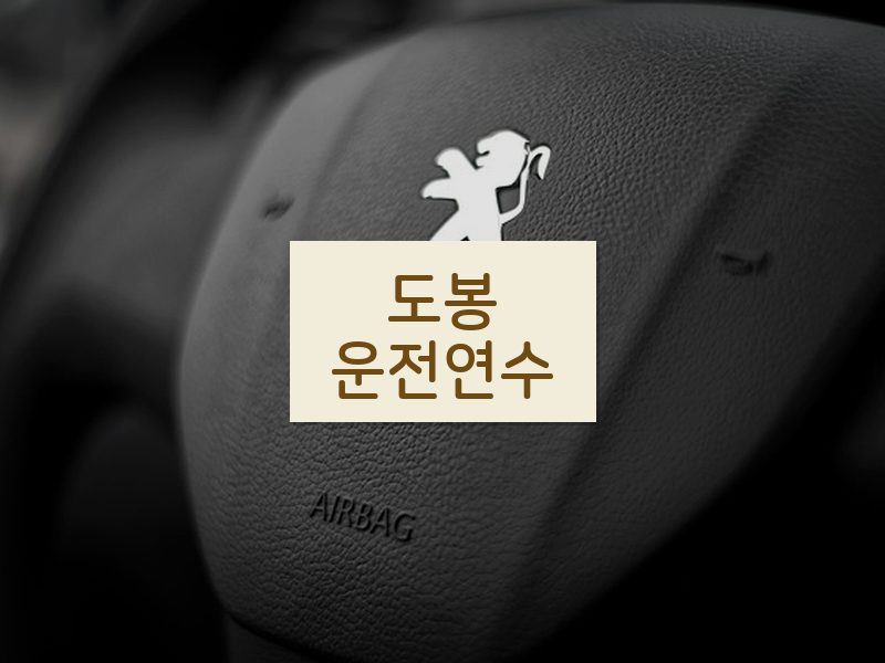 도봉운전연수 후기