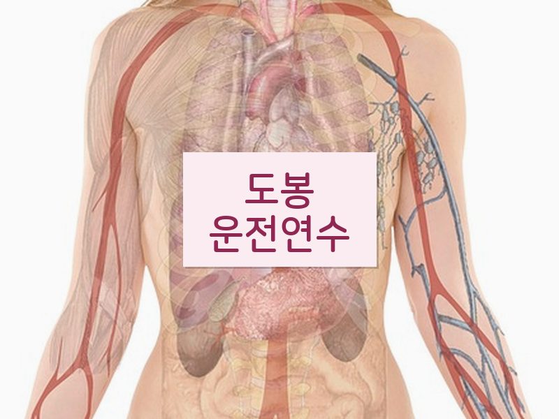 도봉운전연수 후기