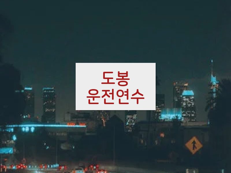 도봉운전연수 후기