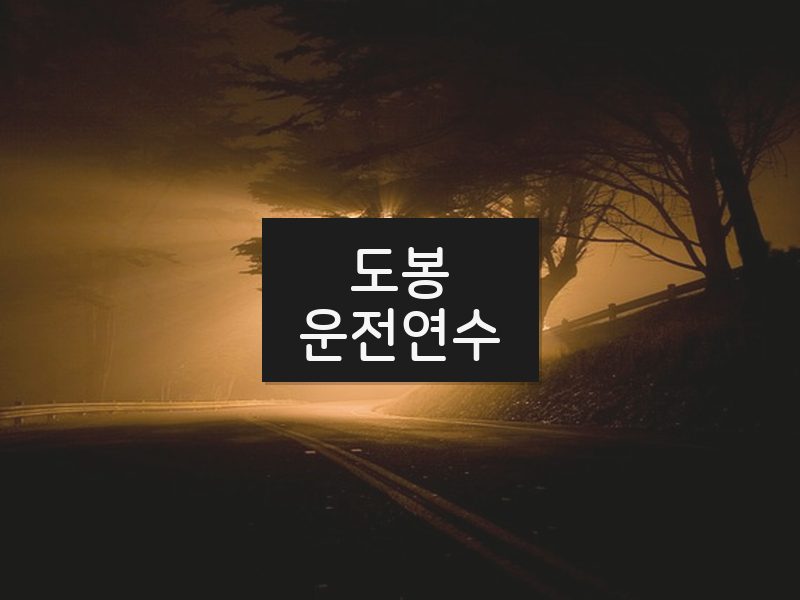 도봉운전연수 후기