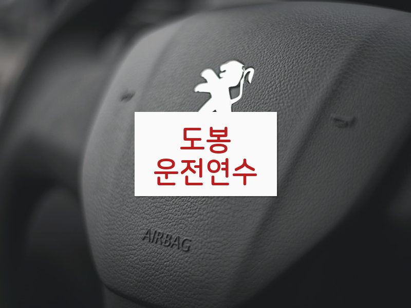 도봉운전연수 후기