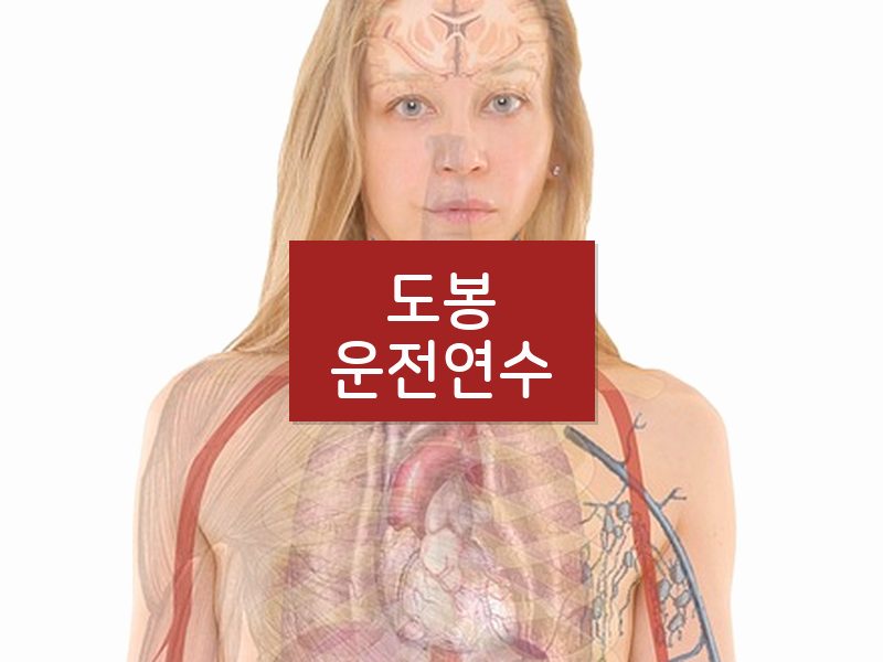 도봉운전연수 후기