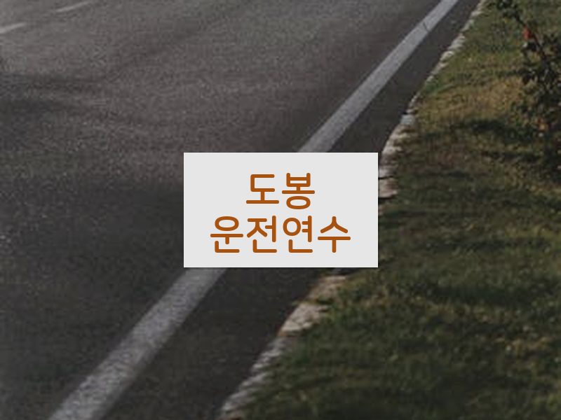 도봉운전연수 후기