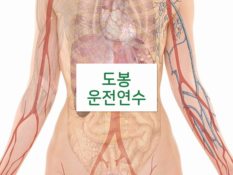 도봉운전연수 후기