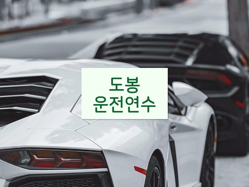 도봉운전연수 후기
