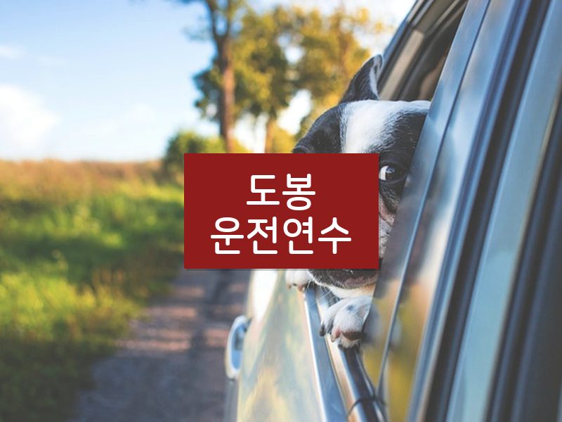 도봉운전연수 후기
