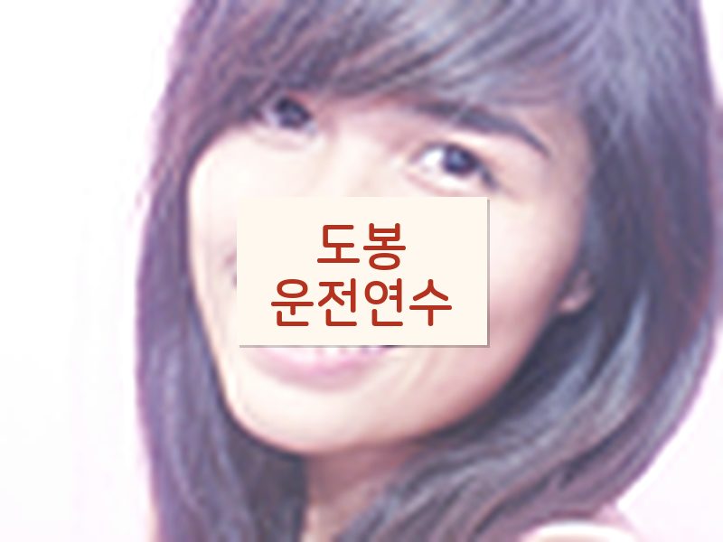 도봉운전연수 후기
