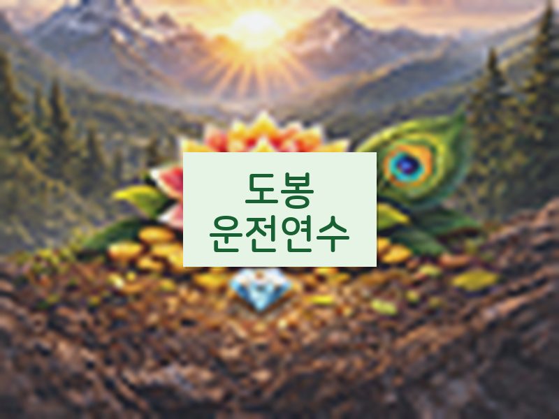 도봉운전연수 후기